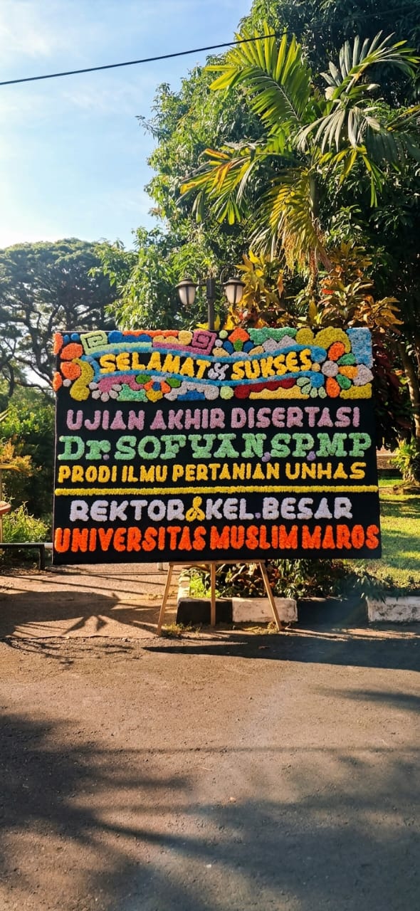 Sewa Karangan bunga 2,5x2 meter di Makassar